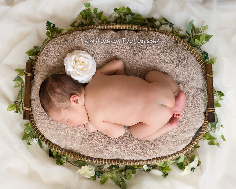 228H1003Phan-Edit-blog