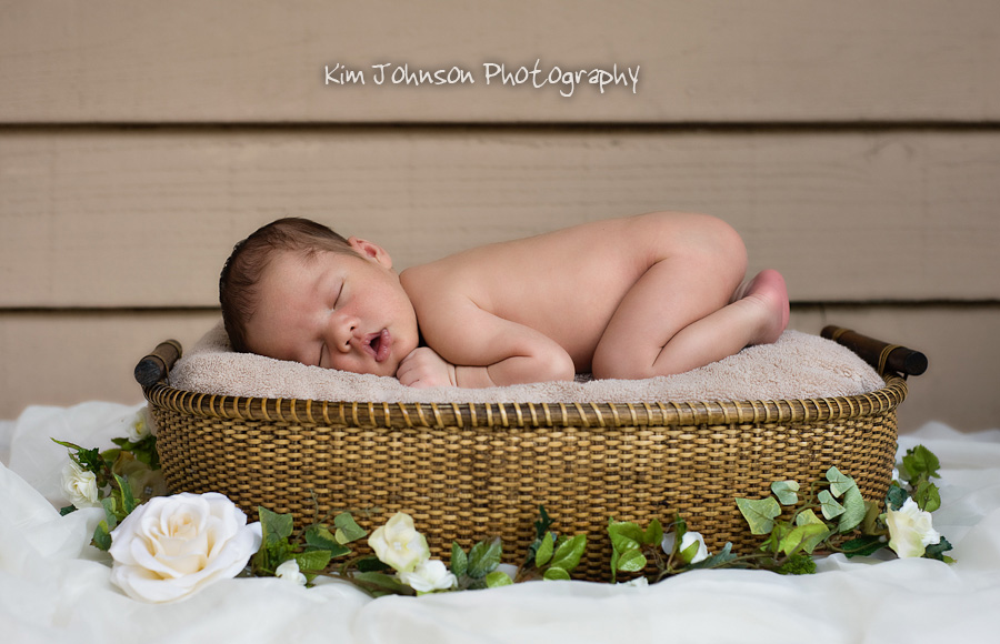 242H1003Phan-Edit-blog