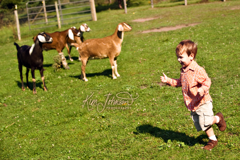 11H1006Pet-blog